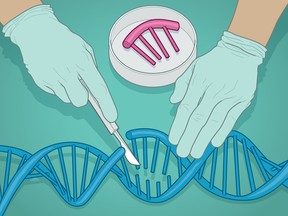 gene-editing