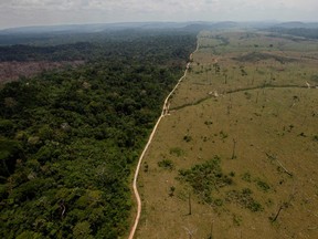 This Sept. 15, 2009 file photo shows a deforested area near Novo Progresso in Brazil's northern state of Para. Brazil's government says destruction of its Amazon rainforest has jumped by almost 30 per cent.