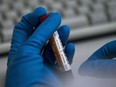 An employee of the Russia's national drug-testing laboratory holds a vial in Moscow, Russia. On Monday, July 18, 2016 WADA investigator Richard McLaren confirmed claims of state-run doping in Russia.