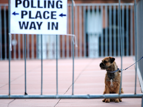 A dog waits outside a polling station in Glasgow, Scotland during Britain’s 2015 general election.