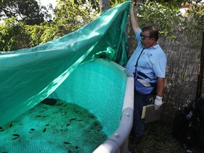 Robert Muxo, a Miami-Dade County mosquito control inspector, inspects a property for mosquitos or breeding areas in the Wynwood neighborhood as the county fights to control the Zika virus outbreak on July 30, 2016 in Miami, Florida.