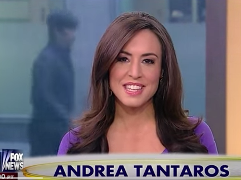 940px x 705px - Former host Andrea Tantaros sues Fox News, calling it a 'sex-fuelled,  Playboy Mansion-like cult' | National Post
