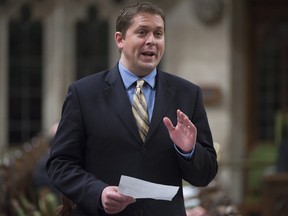 Conservative MP Andrew Scheer rises during Question Period in the House of Commons, in Ottawa on May 20, 2016.