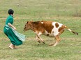 In this April 9, 2013 photo, an Amish girl chases a cow from the outfield during a baseball game in Bergholz, Ohio.