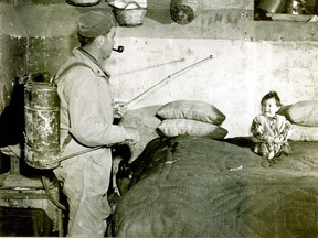 DDT is sprayed on the inside of an Italian house in 1945.