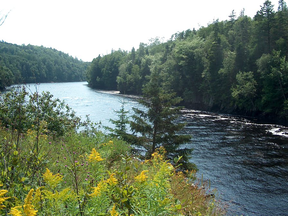 The East River upstream from the village of Sheet Harbour, Nova Scotia.