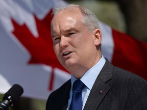 Then-Veteran Affairs Minister Erin O'Toole makes an announcement related to the Government of Canada's commitment to honour Canadian Veterans at a press conference in Ottawa on Tuesday, May 12, 2015. O'Toole is considering a run for leadership of the federal Conservative party.