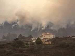 Smoke rises from a wildfire raging on the outskirts of the town of El Paso on the Spanish canary island of La Palma on August 4, 2016.