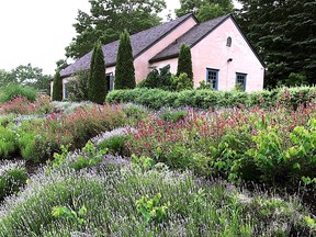 The lavender and other colourful vegetation in front of the winery's stucco building contribute to the French countryside look.