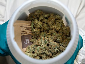 An employee of a Canadian medical cannabis distributor holds a container of medical marijuana in Paris, Ont., on Aug. 22.