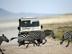 Thousands of tourists visit Masai National Reserve every year to watch massive herds of zebras and wildebeests traverse the scrub and savannah. Violence is rare, police say.