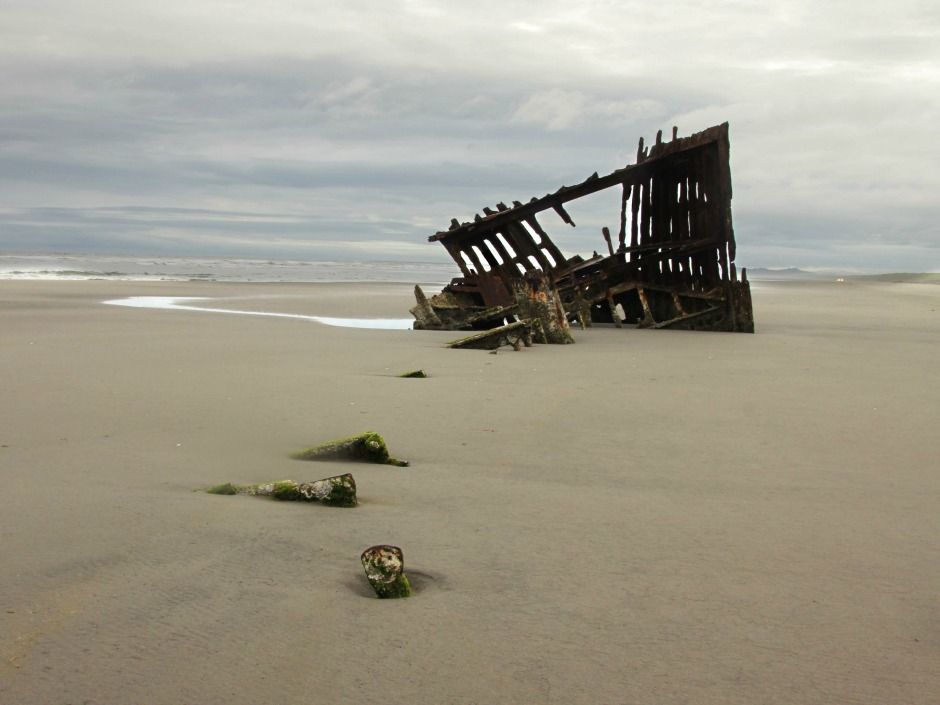 Parks Canada investigating whether 'ancient' bones found in Gaspe came ...