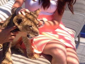 An Instagram photo shows a woman with the lion cub at Lavelle nightclub.