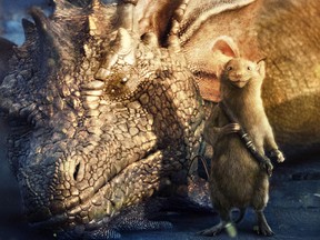 Reepicheep with dragon in The Chronicles of Narnia:  The Voyage of the Dawn Treader.