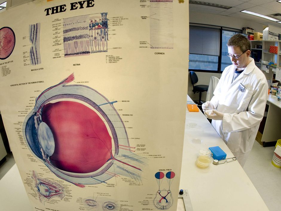 Glaucoma and impotence unexpectedly linked in new study from UBC