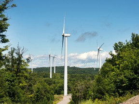 A wind farm in Sault Sainte Marie, Ont.