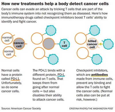 Study provides new look at why rare cancer often evades treatments