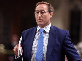 Peter MacKay stands in the House of Commons during Question Period on Parliament Hill, Wednesday, June 17, 2015 in Ottawa.