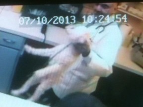 A still frame from video used as evidence against Dr. Mahavir Singh Rekhi by the College of Veterinarians of Ontario.