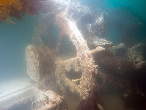 The ship's helm (wheel) astern of the skylight for the Captain's Cabin of the HMS Terror.