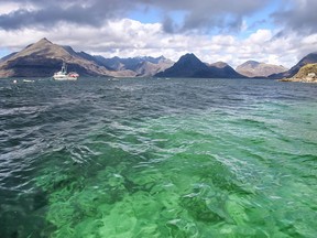 Skye is a stunner, from the stark grandeur of the Black Cuillin, the jagged mountain range looming over the island, pictured, to the cheerfully pastel houses of Portree harbour.