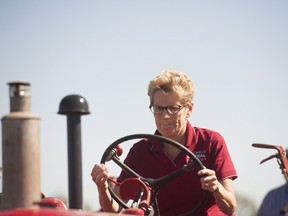 Premier Wynne begins personally building a new subdivision of houses.