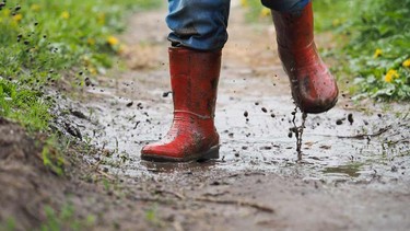 Parents need to be less apprehensive about their kids playing outside and getting dirty.