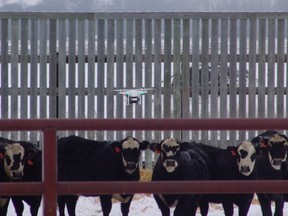 John Church, an associate professor at Thompson Rivers University, will be researching the use of drones for precision cattle ranching.