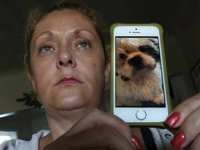 Gina Bourque holds a photo of her dog Kodi who was killed by another dog during a visit to a dog park near their home on Henry Ford Centre Drive in Windsor, Ontario