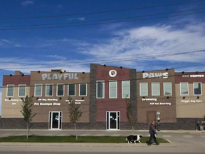 The Playful Paws Pet Center is located on 105th street in Saskatoon, Saskatchewan on Saturday, September 10th, 2016