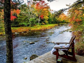 Trout Point Lodge in Kemptville, Nova Scotia offers guided nature walks that are inspired by the Japanese philosophy of “forest bathing.”