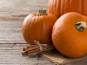 Fall brings pumpkin-mania and Small Business Week, a national celebration of Canada's entrepreneurs.