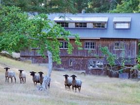 A view of the Decourcy Island Farm, showing a large wood structure that was originally built as a dormitory for the followers of Brother XII.