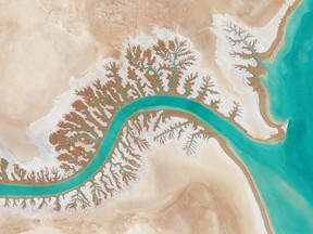 Dendritic drainage systems are seen around the Shadegan Lagoon by Musa Bay in Iran. The word ‘dendritic’ refers to the pools’ resemblance to the branches of a tree, and this pattern develops when streams move across relatively flat and uniform rocks, or over a surface that resists erosion. Reprinted with permission from Overview by Benjamin Grant, copyright (c) 2016. Published by Amphoto Books, a division of Penguin Random House, Inc. 
Images (c) 2016 by DigitalGlobe, Inc.