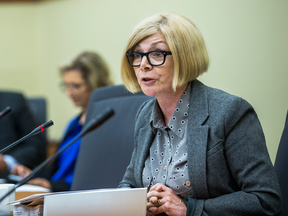 Bill 28 was brought forward by the Ontario Liberal government after NDP MPP Cheri DiNovo first started championing the issue years ago.