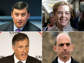 Clockwise from top left: Michael Chong, Kellie Leitch, Steven Blaney and Maxime Bernier, represent the two groups that seem to have formed among Conservative leadership candidates.