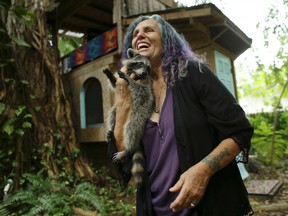 Shawnee Chasser holds her pet raccoon, Mary J. Blige, outside of her treehouse in Miami. Miami-Dade County code inspectors discovered the treehouse, declared it unfit for human habitation and ordered it torn down.