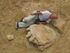 Okayama University of Science Professor Shinobu Ishigaki lying next to a dinosaur footprint in Gobi Desert. A Mongolia-Japan joint expedition has found four fossil footprints in a layer of earth that dates back 70-90 million years.