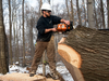 Experts have theorized about the risk of prostate cancer in those who work with vibrating surfaces, such as loggers.