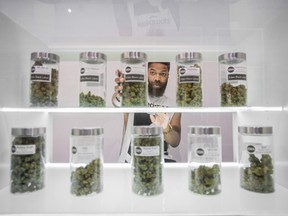 TORONTO, ONTARIO : October 4, 2016 - An employee replaces a large jar of marijuana on a shelf  Eden Medicinal Society, a cannabis retailer, in Toronto, Ontario, Tuesday, October 4, 2016.   (Tyler Anderson / National Post)  (For National) //NATIONAL POST STAFF PHOTO