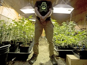 Local Input~ KOOTENAY REGION, B.C. - JUNE 21, 2016: Phil, a cannabis grower from the Kootenay region is standing in the cultivation facility. (For marijuana pot project - Nick Eagland story) [PNG Merlin Archive] ORG XMIT: POS2016091214213970     Pot series Postmedia Project