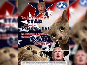The Windsor/Essex County Humane Society's controversial cat adoption advertisement that made reference to Donald Trump's controversial "pussy" comment. After multiple complaints, the advertisement was deleted - less than three hours after it was posted on Oct. 19, 2016.