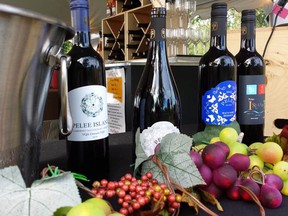 Pelee Island Winery is considered the daddy of local wineries