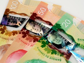 Canada's unrippable polymer bills are among those of 23 other countries to contain trace amounts of beef tallow.