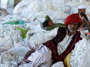 Men lie on cotton at a wholesale market in Rajkot, India, on Wednesday, Dec. 22, 2010.  Photographer: Adeel Halim/Bloomberg