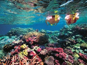 The Great Barrier Reef is one of Australia's top tourist attractions.