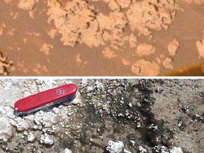 Top: Cauliflower-like formations photographed on Mars. Bottom: Similar formations photographed in Chile. The Chilean structures were formed with the help of microscopic life, providing compelling evidence that the Martian rocks are the "signature" of ancient life on the Red Planet.