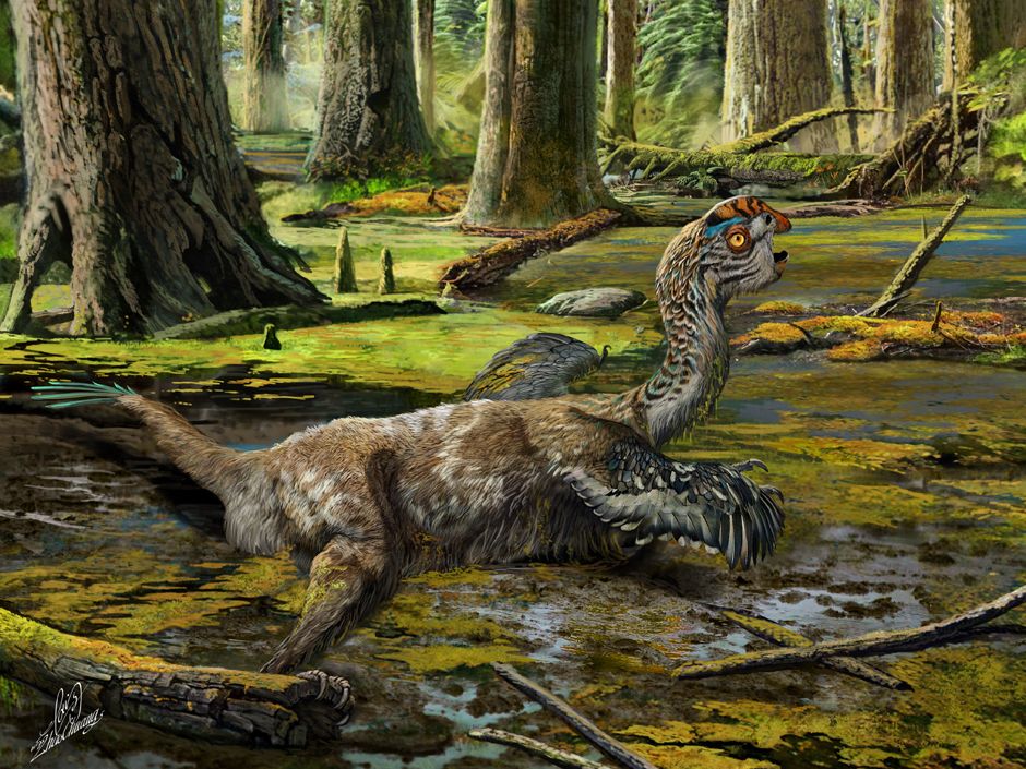 How to discover a 70-million-year-old Chinese 'mud dragon' dinosaur ...