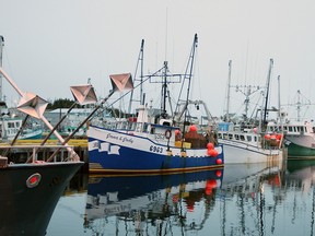 Fishing boats sit idle in Twillingate's harbour in Newfoundland, Canada, Wednesday April 14, 2010.