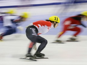 Marianne St-Gelais (11) skates to silver in the women's 500 metres at the ISU World Cup Short Track in Toronto on Nov. 8, 2015.
